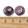 Natural Amethyst Donut/Pi Disc Charms G-G142-02L-3