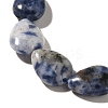 Natural Blue Spot Jasper Beads Strands G-I377-A12-4
