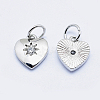 Brass Micro Pave Cubic Zirconia Charms LS-RB-I078-67P-NR-2