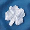 Natural Quartz Crystal Carved Clover Figurines Statues for Home Office Tabletop Feng Shui Ornament DJEW-G044-01E-1