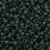 MIYUKI Round Rocailles Beads SEED-X0054-RR0156F-3