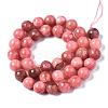 Natural Chalcedony Beads Strands G-S333-10mm-007-2