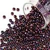 TOHO 8/0 Round Beads SEED-XTR08-0503-1
