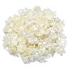300Pcs ABS Plastic Imitation Pearl Flower Bead Caps KY-CJ0001-59-3