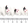 Handmade Lampwork Beads Strands LAMP-P066-05-6