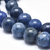 Natural Dumortierite Quartz Bead Strands G-I224-01-10mm-3