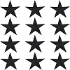 12Pcs Star Shape Cloth Embroidery Applqiues PATC-GF0001-33A-1