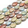 Natural Aqua Terra Jasper Beads Strands G-I213-04-13x18-1