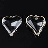 Transparent Glass Pendants LS-GLAA-Q088-022-4
