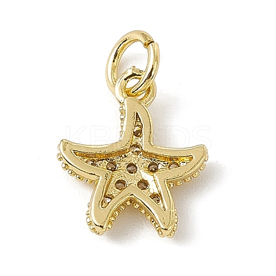 Brass Micro Pave Cubic Zirconia Charms ZIRC-F132-13G-1