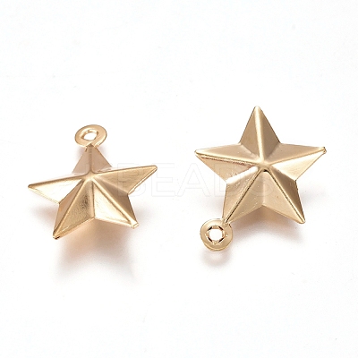 304 Stainless Steel Pendants STAS-I138-12G-1