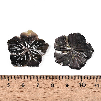 Natural Black Lip Shell Carved Pendants SHEL-T020-21-1