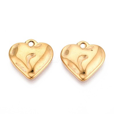 304 Stainless Steel Pendants STAS-T065-24A-G-1