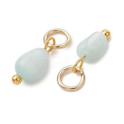 Brass Glass Charms PALLOY-JF05889-1