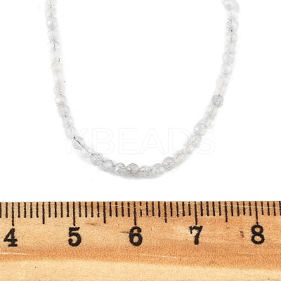Natural Labradorite Beaded Necklaces NJEW-JN02492-07-1