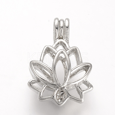 Alloy Locket Pendants X-PALLOY-S062-40P-1
