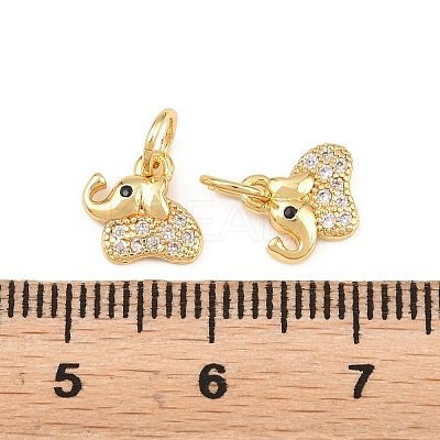 Brass Micro Pave Clear Cubic Zirconia Charms KK-H292-56C-G-1