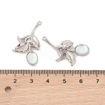 Alloy & Resin Pendants FIND-Z053-04A-03-1