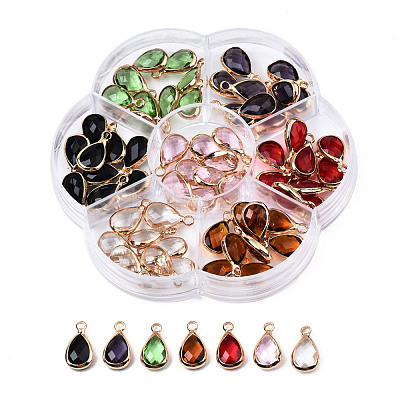 K9 Glass Charms GLAA-N038-21-1
