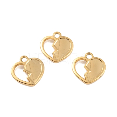 Ion Plating(IP) 304 Stainless Steel Pendants STAS-D051-32G-1