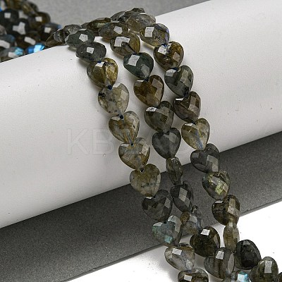 Natural Labradorite Beads Strands G-P544-E01-01-1