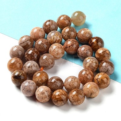 Natural Flower Agate Beads Strands G-B044-A01-04-1
