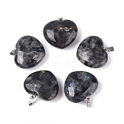 Natural Larvikite Pendants G-N349-05A-P-1