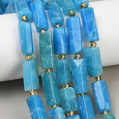 Natural Apatite Beads Strands G-D353-A23-1