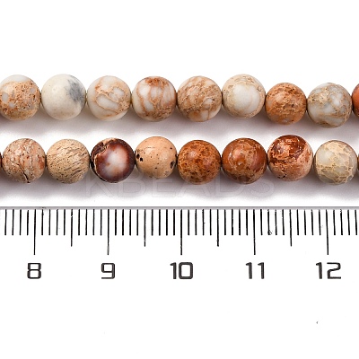 Dyed Natural Regalite/Imperial Jasper/Sea Sediment Jasper Beads Strands G-B124-C02-10-1