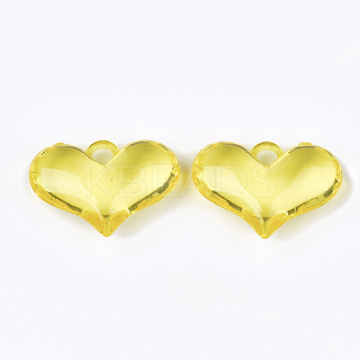 Transparent Acrylic Pendants TACR-S133-068-1