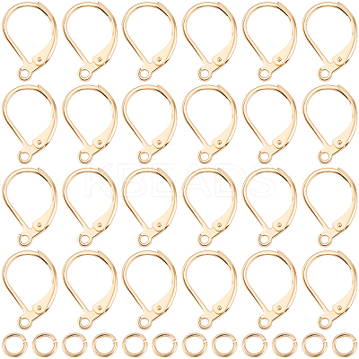 30Pcs 304 Stainless Steel Leverback Earring Findings STAS-BBC0009-22-1