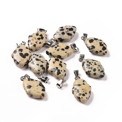 Natural Dalmatian Jasper Pendants G-B041-03P-08-1