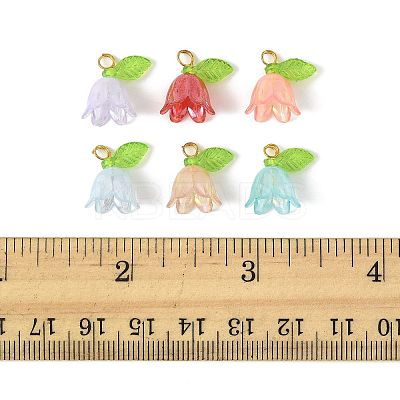 50Pcs Transparent Acrylic Pendants PALLOY-FS00043-03-1