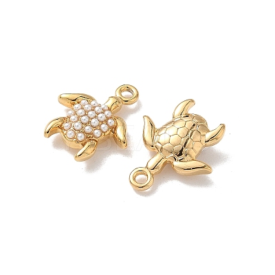 304 Stainless Steel Charms LS-STAS-H483-26D-G-1