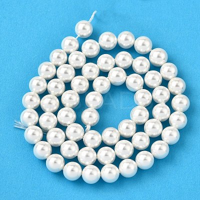 Rainbow Plated Shell Pearl Bead Strands X-BSHE-L025-02-8mm-1