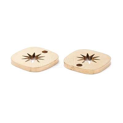 Ion Plating(IP) 316 Surgical Stainless Steel Charms STAS-H163-20G-1