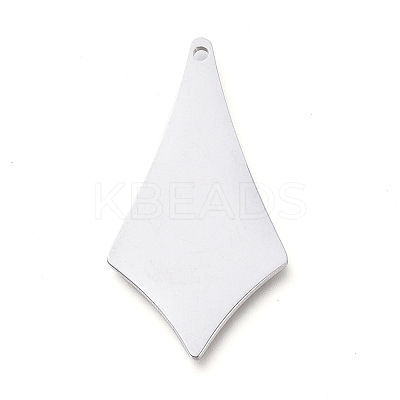 Tarnish Resistant 304 Stainless Steel Pendants STAS-L238-094-P-1