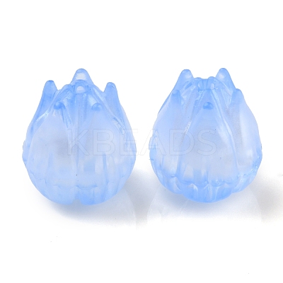 Transparent Acrylic Beads OACR-K005-13-1
