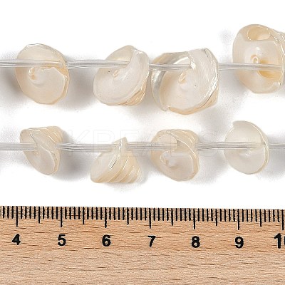 Natural Shell Beads Strands SHEL-K009-11-1