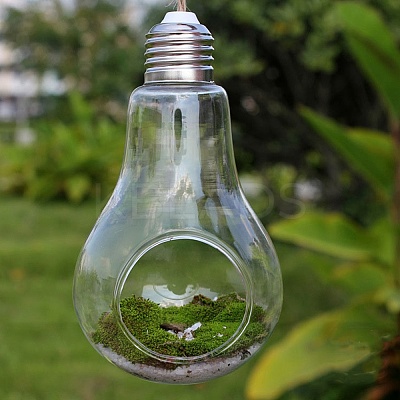 Bulb Shape Hanging Glass Planter PW-WG30992-01-1