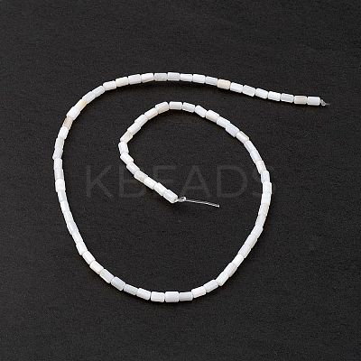 Natural Freshwater Shell Dyed Beads Strands X-SHEL-M018-12-12-1