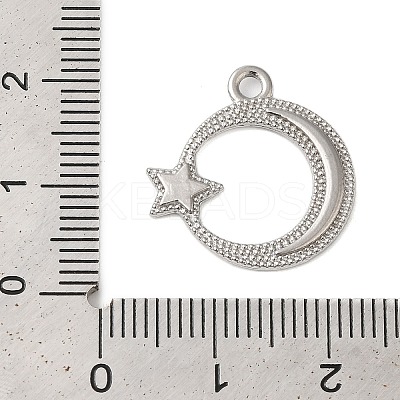 Non-Tarnish 304 Stainless Steel Pendants STAS-N103-62P-1