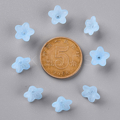Transparent Acrylic Beads PL554-12-1