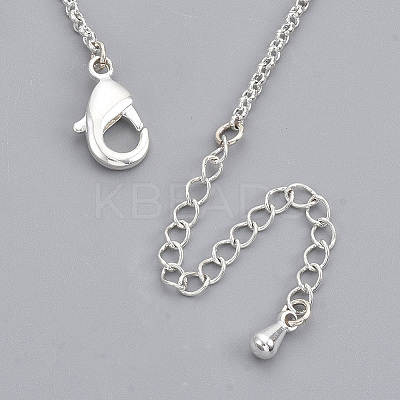 Unisex Alloy Pendant Necklaces NJEW-T010-01S-NF-1