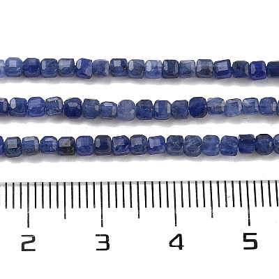 Natural Sodalite Beads Strands G-H042-B08-01-1
