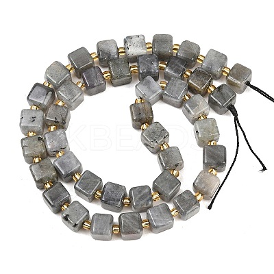 Natural Labradorite Beads Strands G-F832-A09-01-1