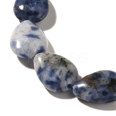 Natural Blue Spot Jasper Beads Strands G-I377-A12-1