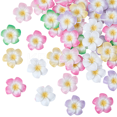 Plumeria Flower Opaque Resin Cabochons CRES-BM0001-01B-1
