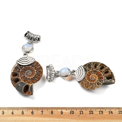 Synthetic Opalite Fossil Snail Pendants G-F062-07-1