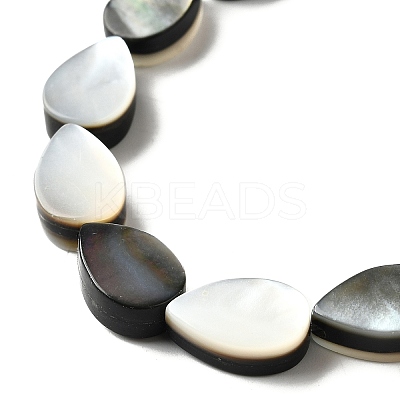 Natural Black Lip Shell Beads Strands BSHE-D300-04A-1